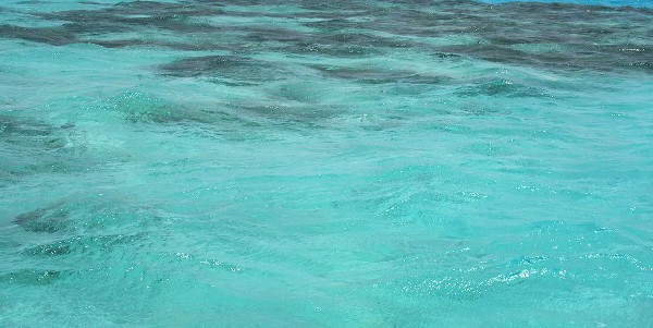 اشد البحار ملوحة في العالم