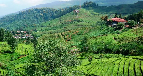 السياحة في بونشاك