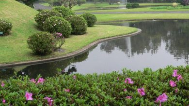 السياحة في بونشاك