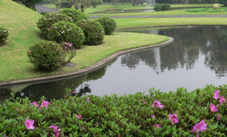 السياحة في بونشاك