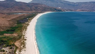 السياحة في جزيرة سقطرى