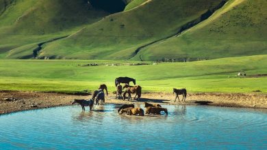 السياحة في قرغيزستان