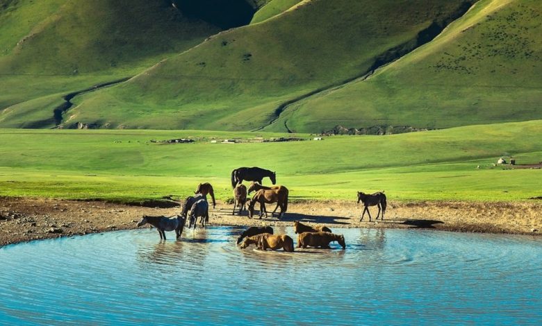 السياحة في قرغيزستان