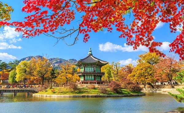 تكلفة السياحة في كوريا الجنوبية