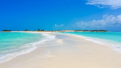 السياحة في مرسى علم