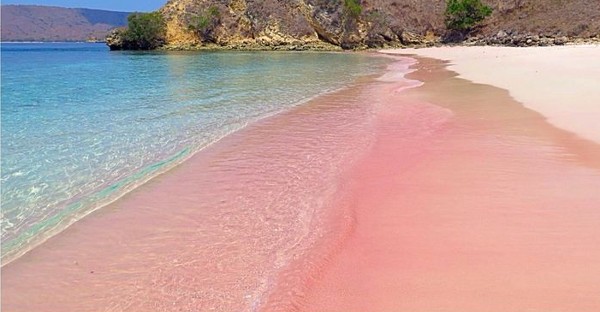 الشاطئ الوردي