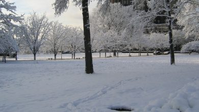 الشتاء في المنام