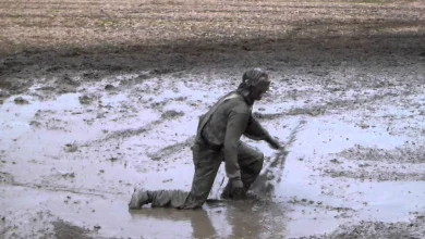 الطين بالمنام