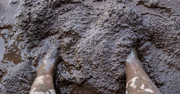 الطين في المنام