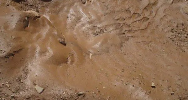 الطين في المنام