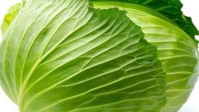 الكرنب في المنام