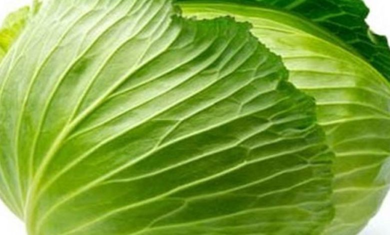 الكرنب في المنام