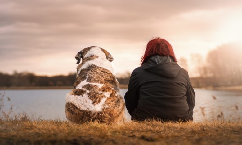 الكلاب في المنام للمتزوجة