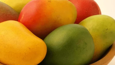 المانجو في المنام