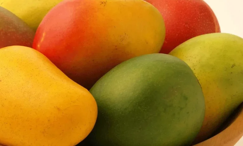 المانجو في المنام