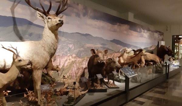 المتحف الوطني الجورجي