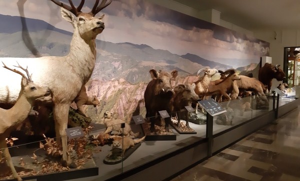 المتحف الوطني الجورجي