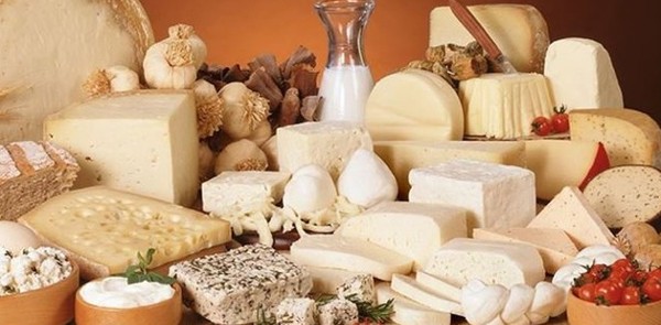 انواع الجبن