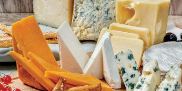 انواع الجبن