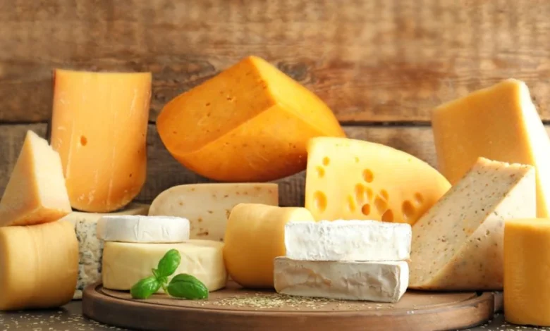 انواع الجبن