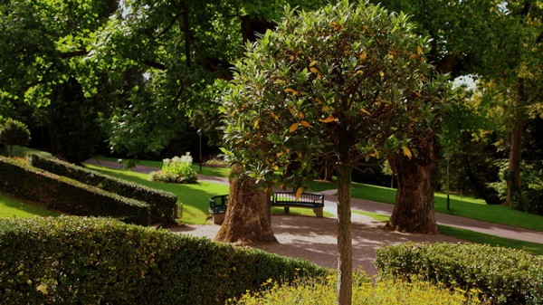 بارك دي مون ريبوس