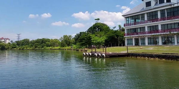 بحيرة الماينز والخيول الذهبية