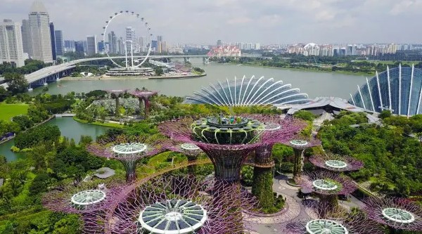 برنامج سياحي الى سنغافورة