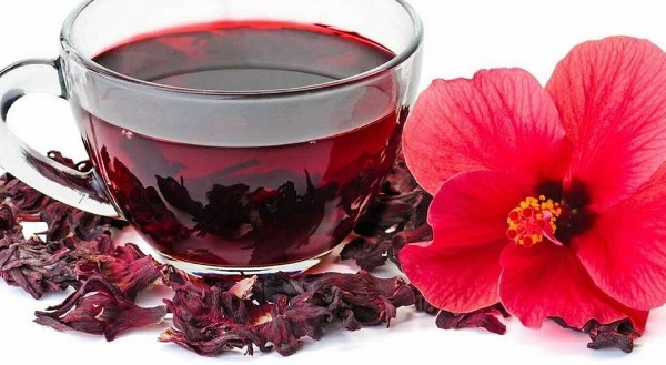 تجربتي مع الكركدية للشعر