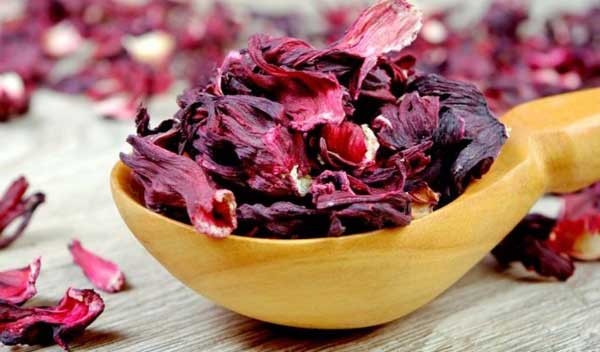 تجربتي مع الكركدية للشعر