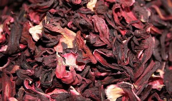 تجربتي مع الكركدية للشعر