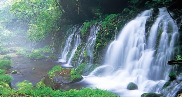 تنزه عبر المناطق الطبيعية الخلابة