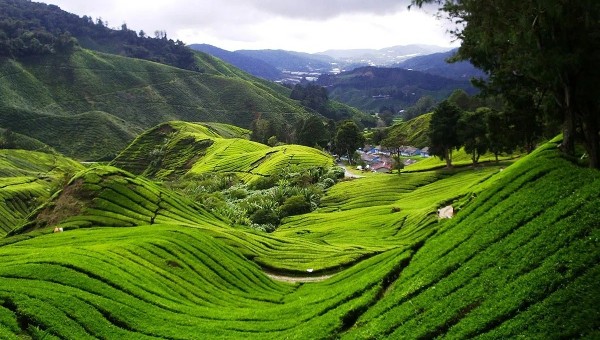 جبل برينشانغ