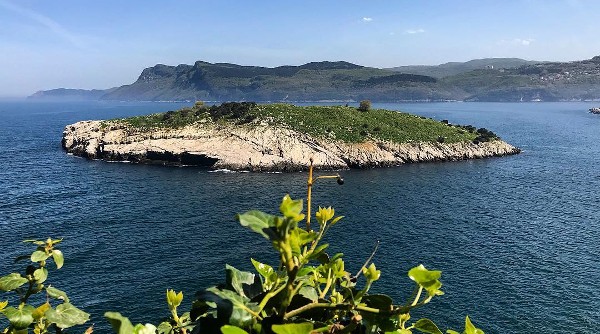 جزيرة طافشان