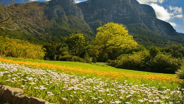 حدائق كريستينبوش النباتية الوطنية