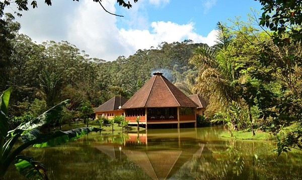 حديقة Andasibe الوطنية