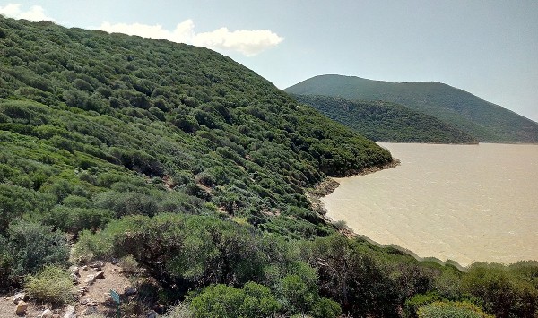 حديقة اشكل الوطنية