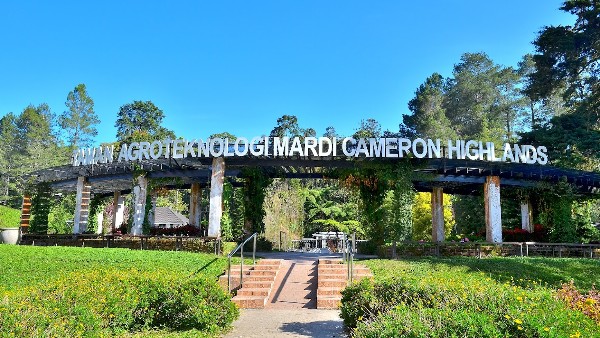 حديقة التكنولوجيا الزراعية