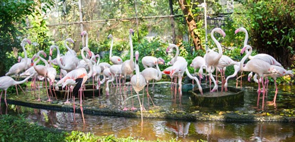 أماكن سياحية في تايلاند