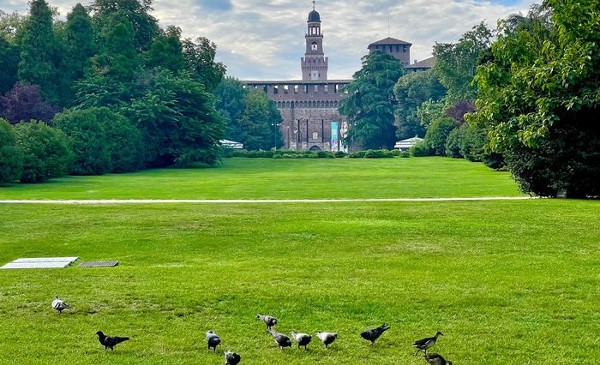 حديقة باركوا سيمبيون