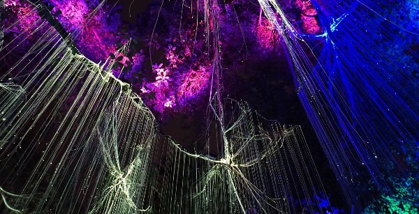 حديقة بينانج السرية