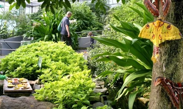 حديقة حيوان امستردام الملكية