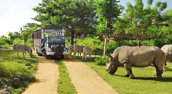 حديقة حيوانات بالي