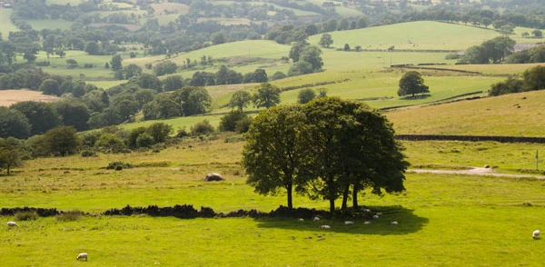 السياحة في شيفيلد