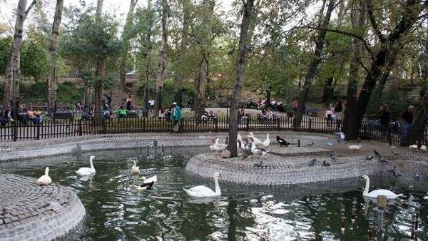 حديقة كوغولو