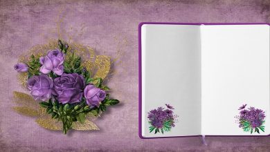 حكم جميلة عن الأمل