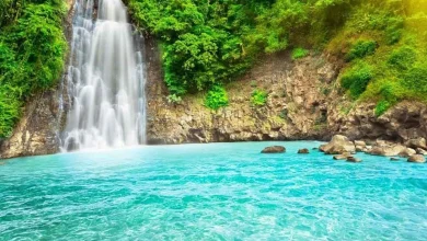 خلفيات طبيعة خلابة وساحرة