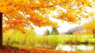 خلفيات طبيعية روعة