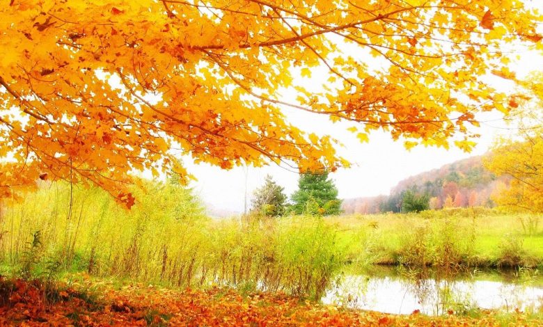 خلفيات طبيعية روعة