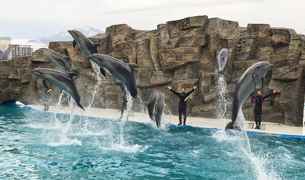 دولفيناريوم باتومي