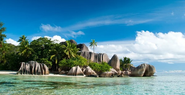 سوق سيلوين كلارك